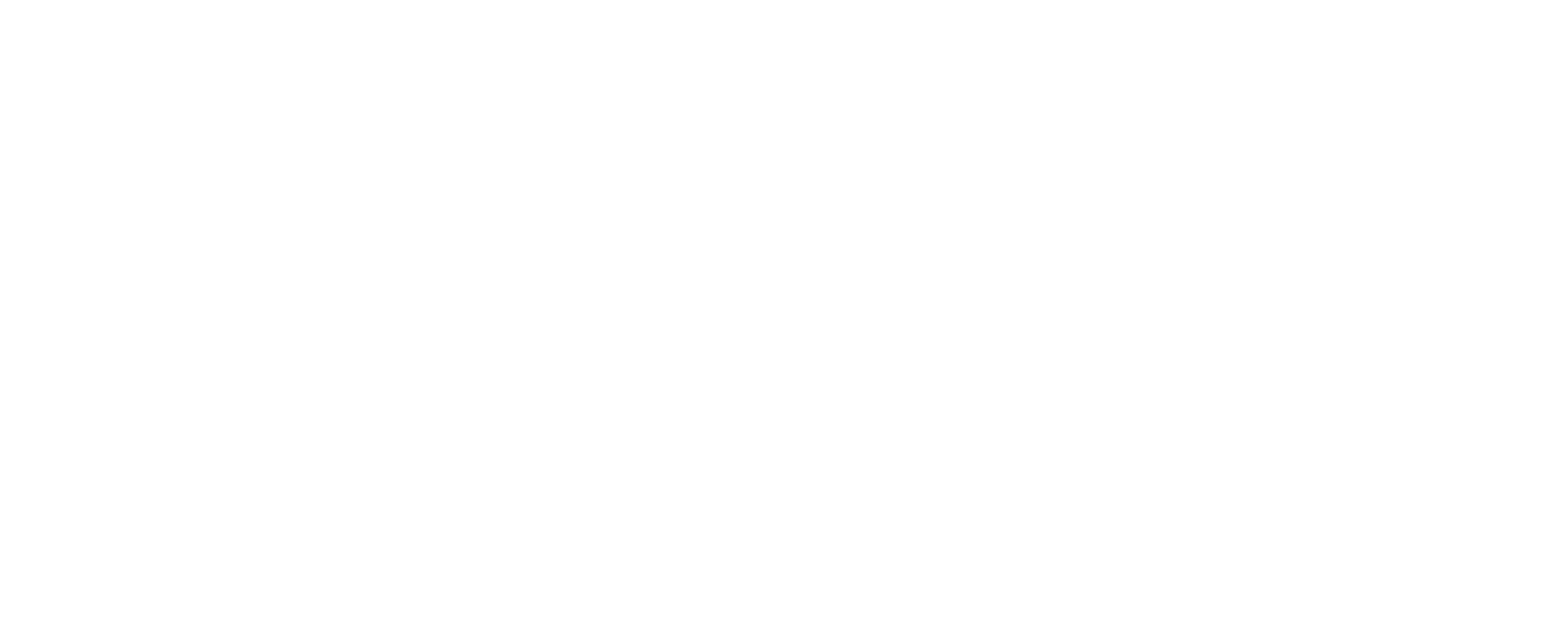 FG_LOGO_2026_01_white